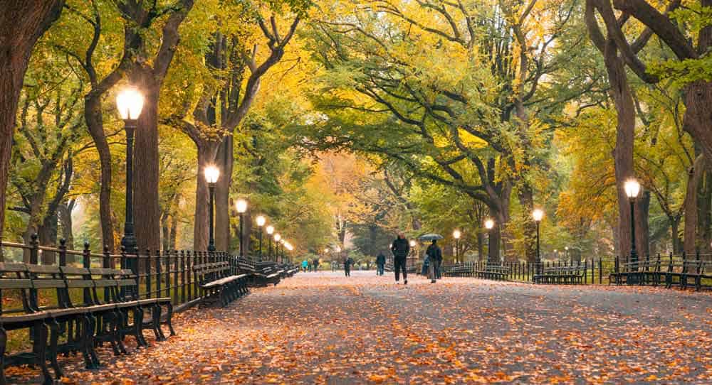 Qué hacer en Acción de Gracias en Nueva York