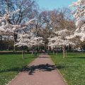 Mejor época para viajar a Londres