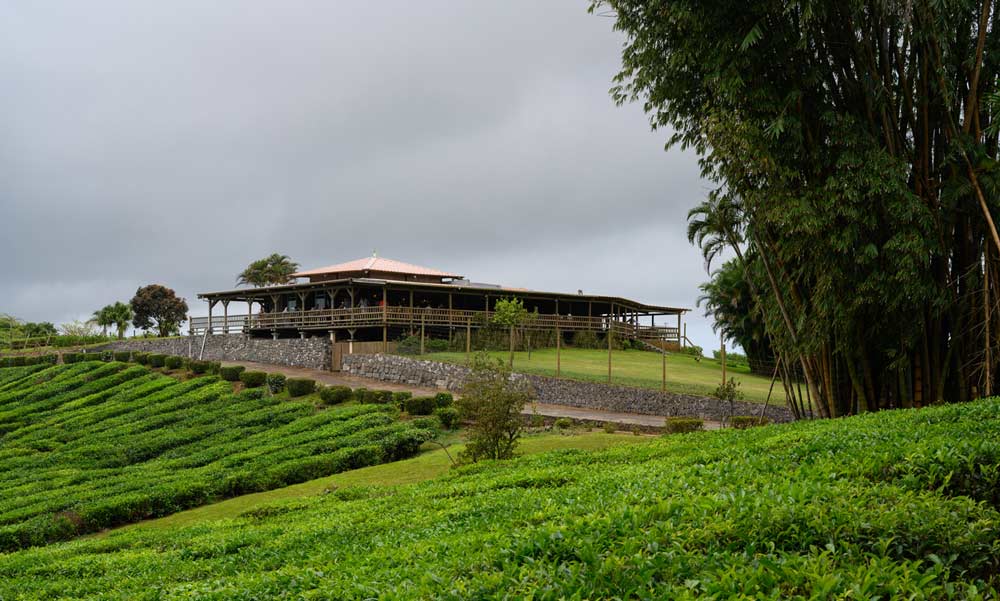 Qué ver y qué hacer en islas Mauricio