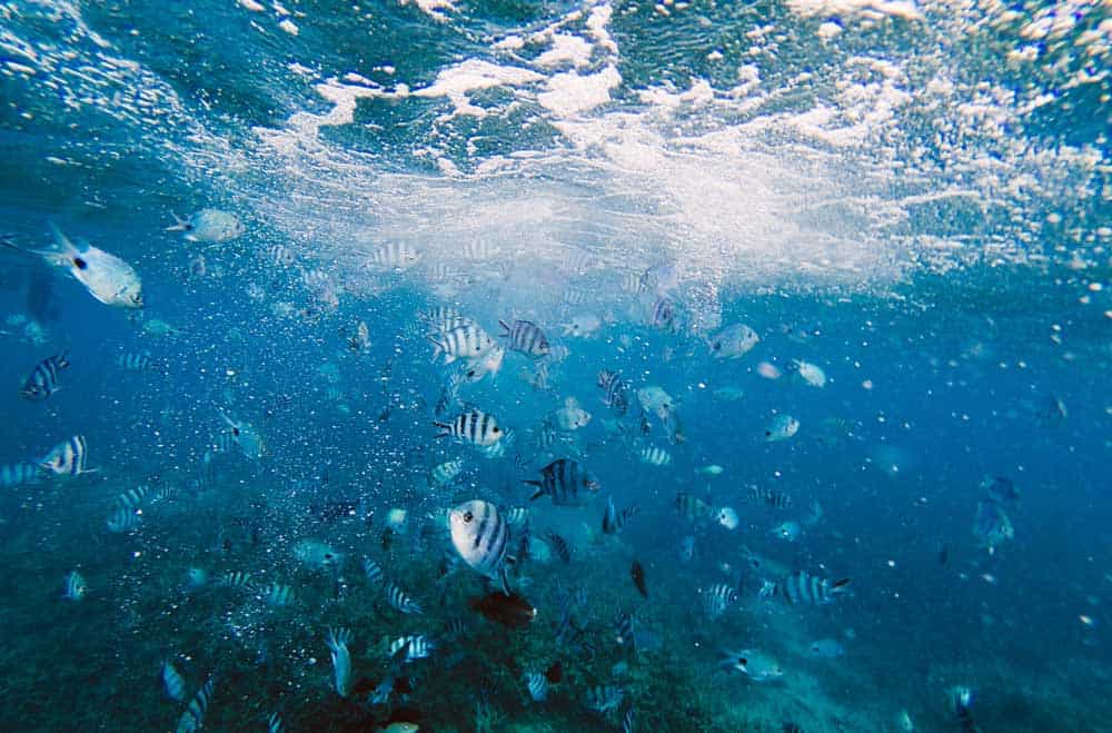 Parque Marino de Blue Bay