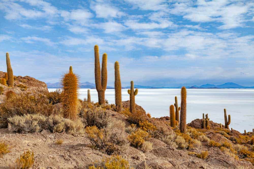 desierto de Bolivia