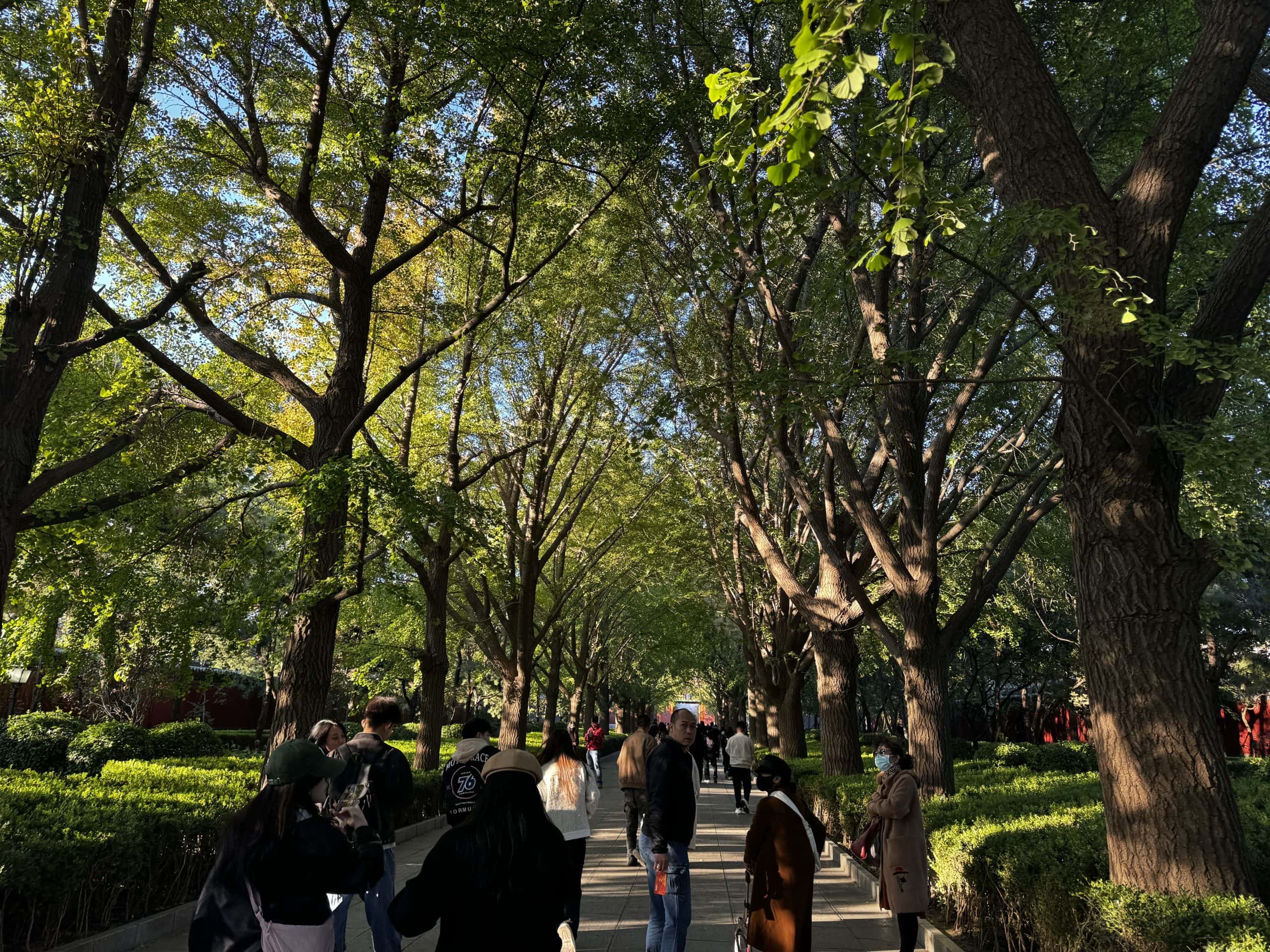BARRIO VERDE DONDE DORMIR EN PEKIN